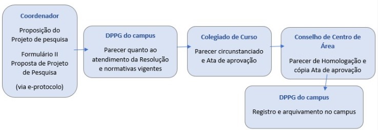 formulário II-  orientações.jpg