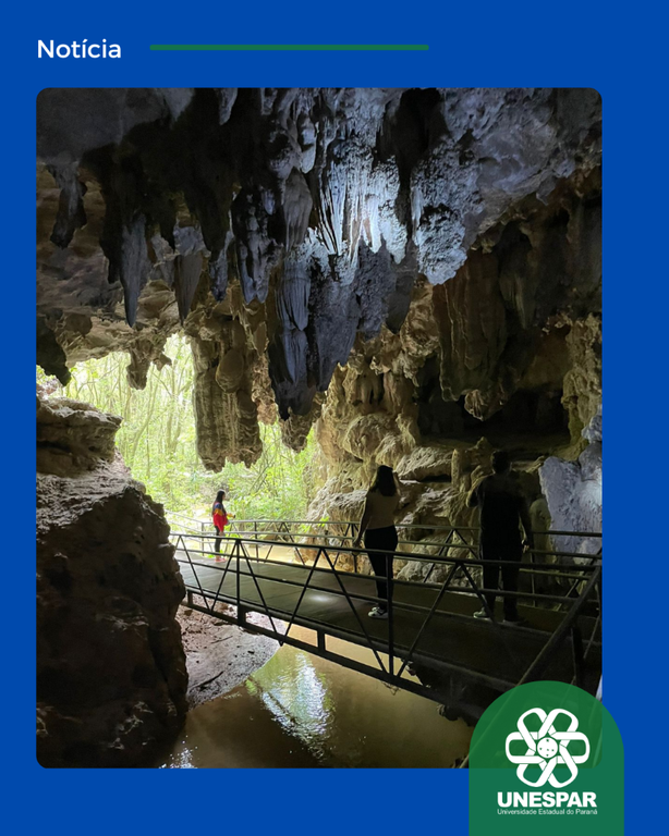 Cópia de Cópia (2).png